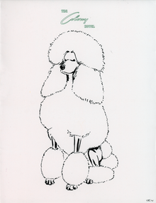  Palm Beach Poodle